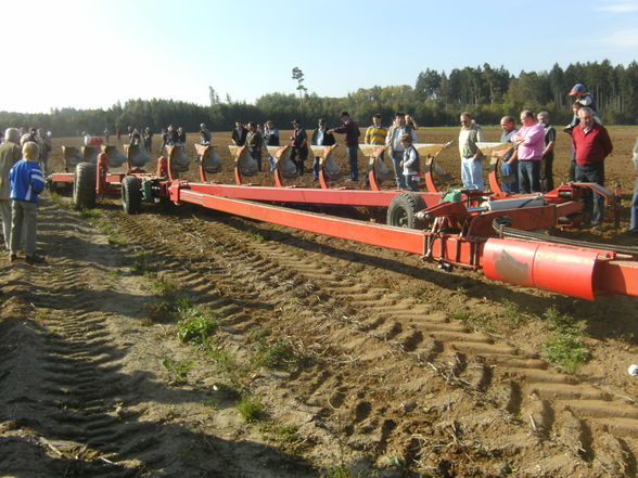 Feldtage Kübach - 