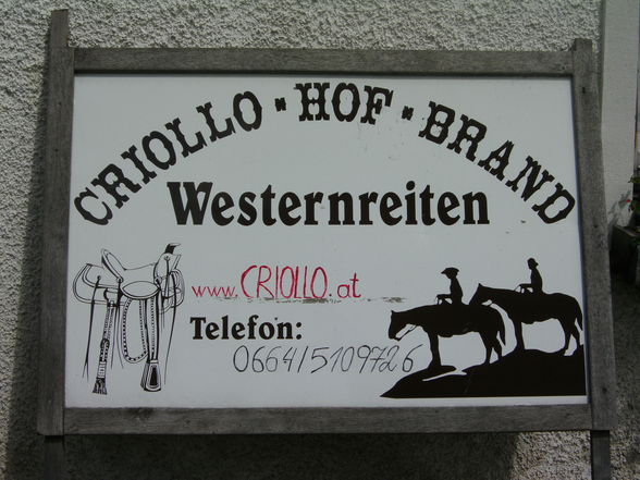 Westernreiten - 