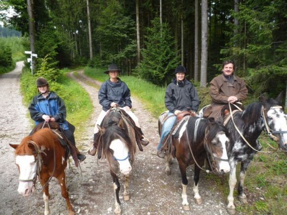 Westernreiten - 