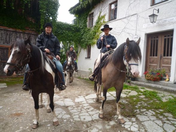 Westernreiten - 