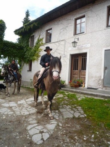 Westernreiten - 