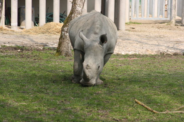 Zoo Schmiding - 