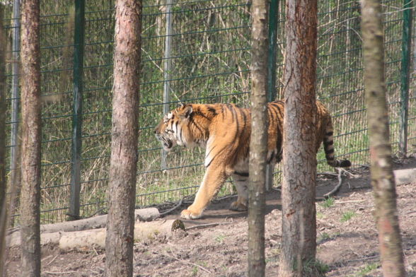 Zoo Schmiding - 