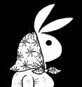 playboy - 