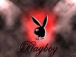 playboy - 