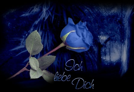 liebe - 