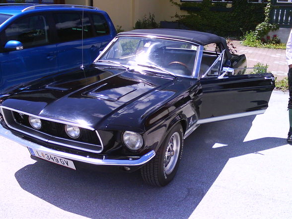 MUSTANG - 