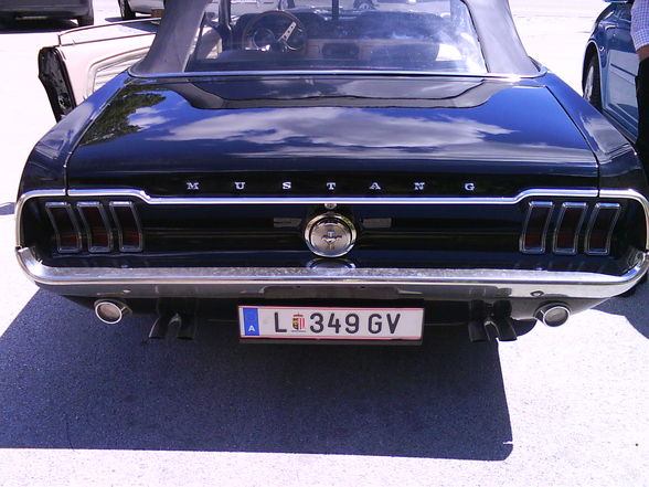 MUSTANG - 