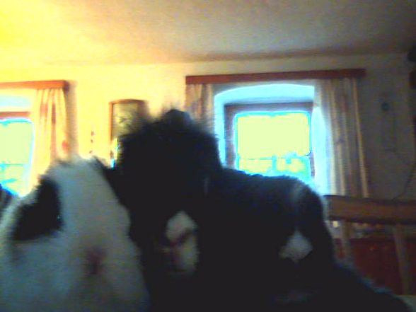 My BuNnYe´S - 