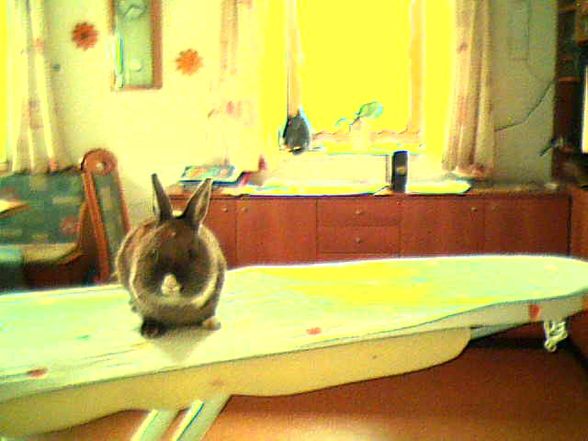 My BuNnYe´S - 