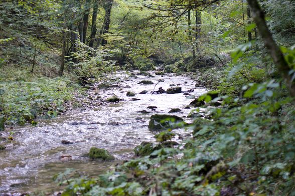 Rinnerberger Klamm - 