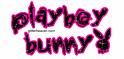 ~Playboybunny~ - 