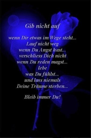 Weisheiten - 