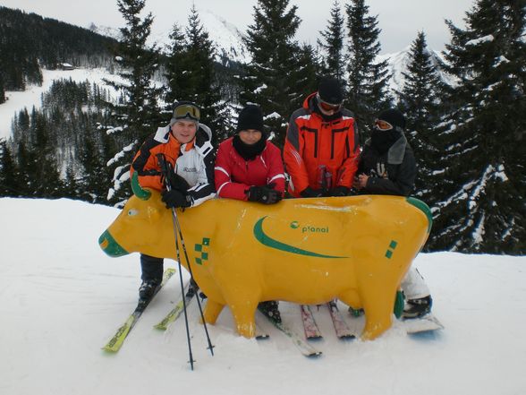 Skifahren Schladming 2009 - 