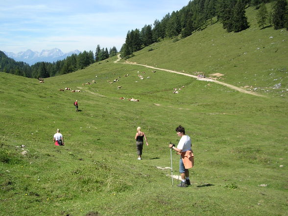 Wandern Windischgarsten 2008 - 