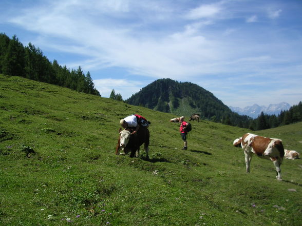 Wandern Windischgarsten 2008 - 