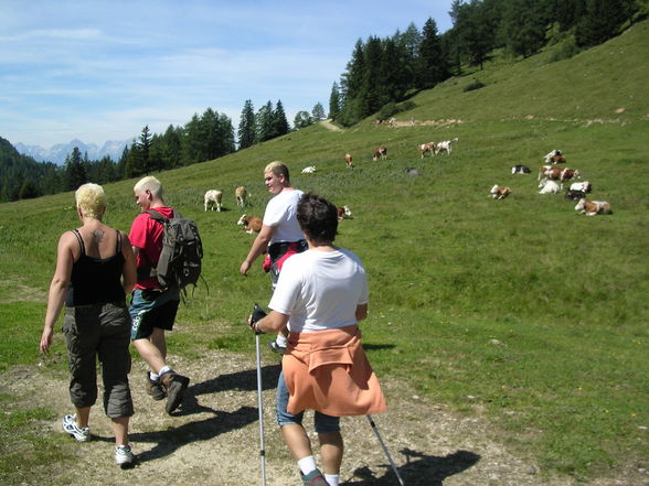 Wandern Windischgarsten 2008 - 