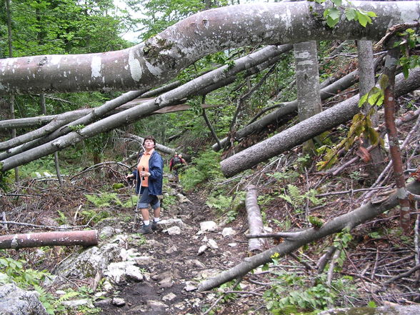 Wandern Windischgarsten 2008 - 