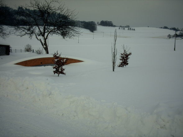 Schnee in Willibald 2008/2009 - 