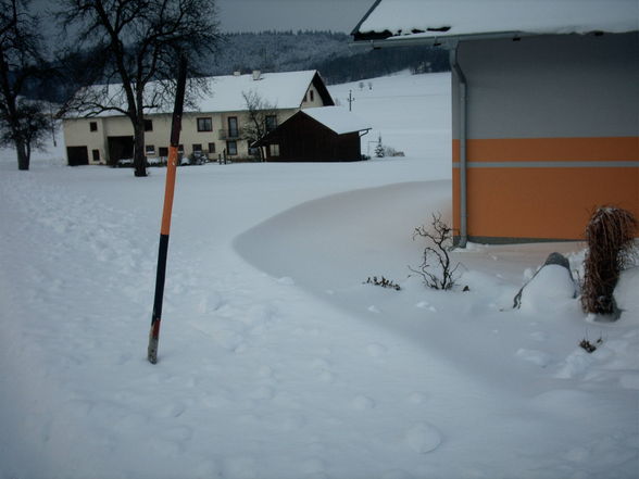 Schnee in Willibald 2008/2009 - 