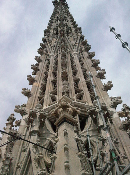 Restauration St. Stephans Dom - 