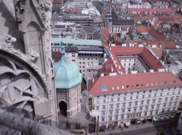 Restauration St. Stephans Dom - 