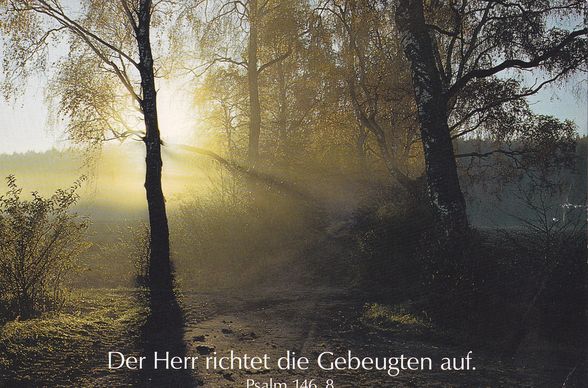 Liebe-Glaube-Hoffnung - 