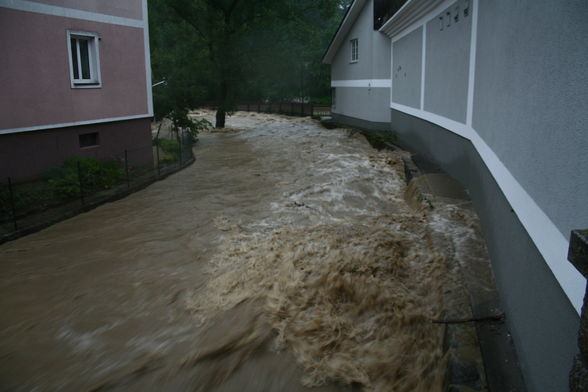 Hochwasser 2009! - 