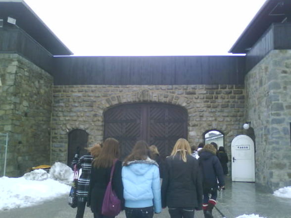 mauthausen^^ - 