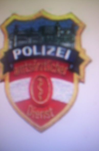 DIE POLIZEI-EI-EEEIIIII - 