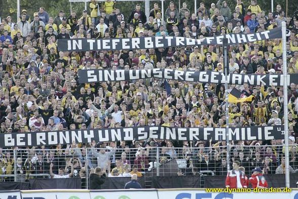 Dynamo Dresden - 