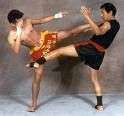 der kickboxer karate tiger 3 - 