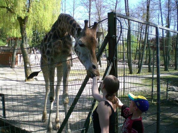 Zoo Schmiding 07 - 