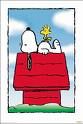 Snoopy - 