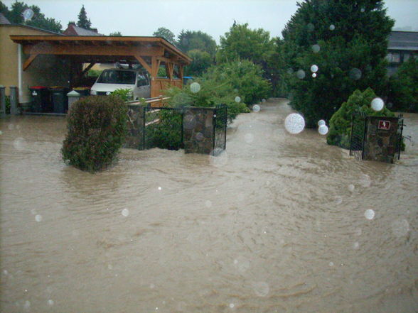 hochwasser09  - 