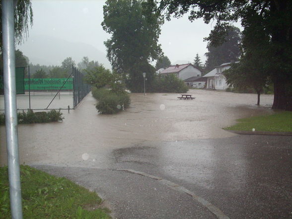 hochwasser09  - 