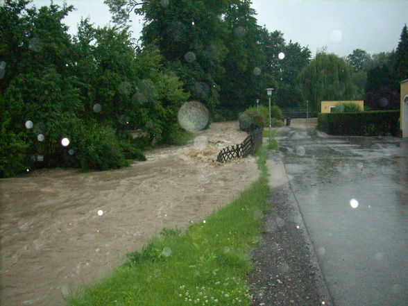 hochwasser09  - 