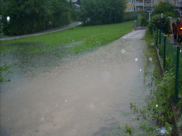 hochwasser09  - 