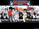 ---Bleach--- - 