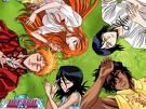 ---Bleach--- - 