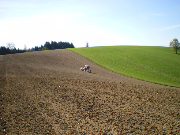 Landwirtschaft_dahoam - 