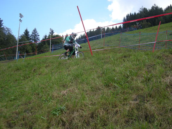 DH WC Schladming 2009 - 