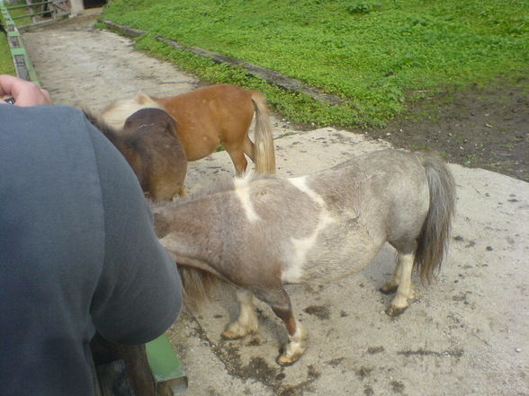 Tierpark 09.08.09 - 