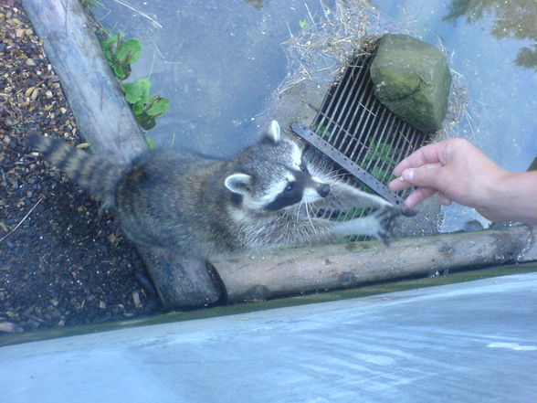 Tierpark 09.08.09 - 