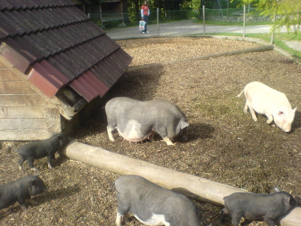 Tierpark 09.08.09 - 