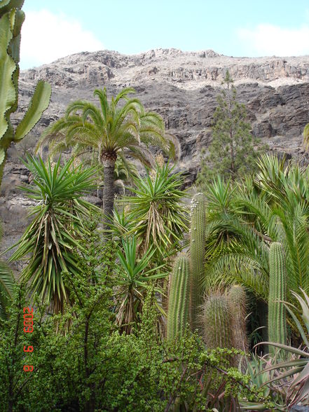 Urlaub Gran Canaria 2009 - 