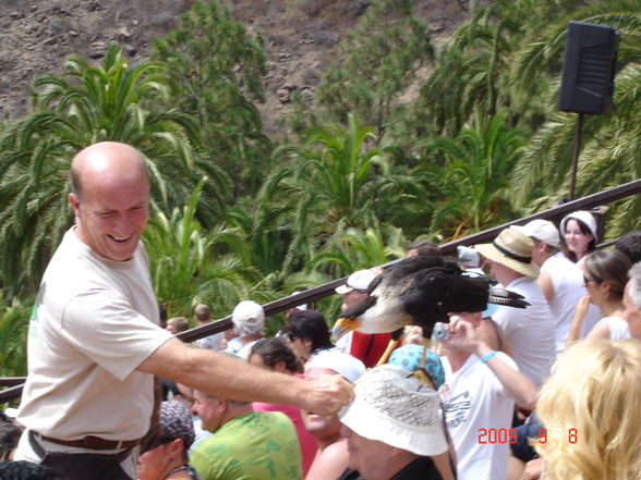 Urlaub Gran Canaria 2009 - 