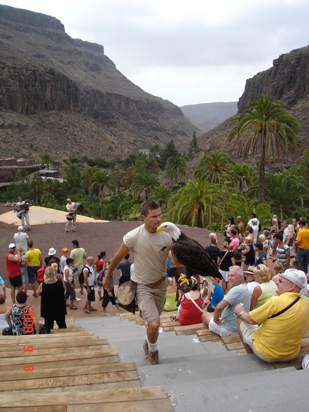 Urlaub Gran Canaria 2009 - 