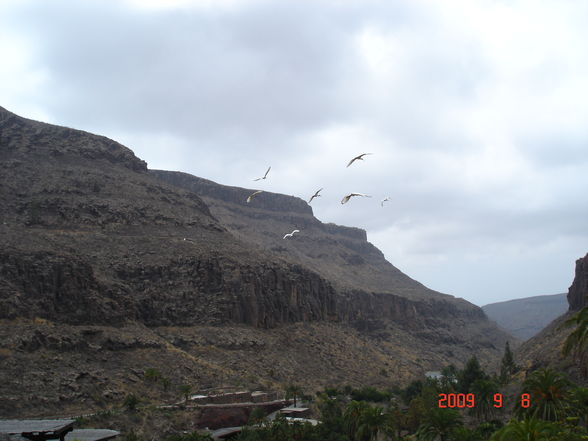 Urlaub Gran Canaria 2009 - 