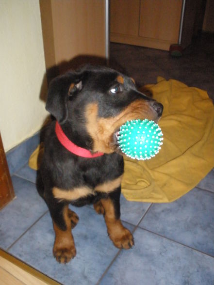 meine XENA - 